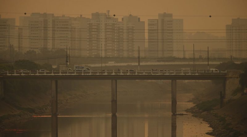 Mercado de carbono: setores terão que relatar emissões de gases no Brasil