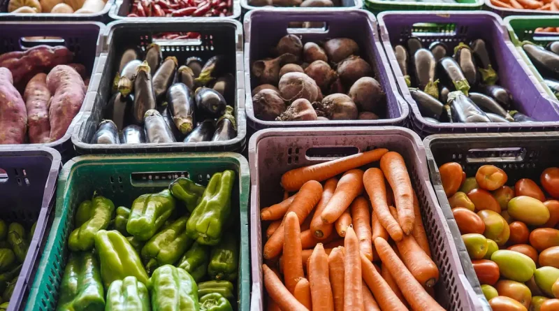 INCAvoluntário lança campanha para alimentar pacientes com câncer