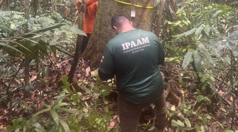 Ipaam Encerra Defeso Florestal 2026 e Retoma Manejo Sustentável no Amazonas