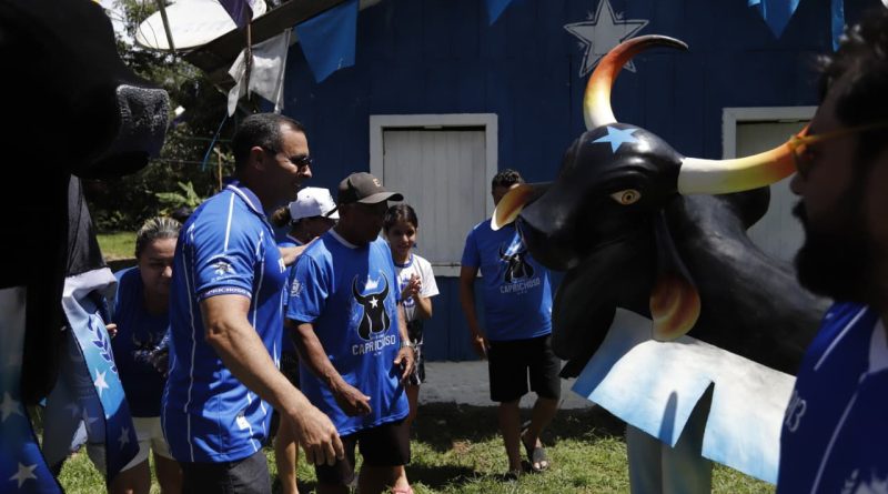 Boi Caprichoso marca Parananema como território azulado em Parintins