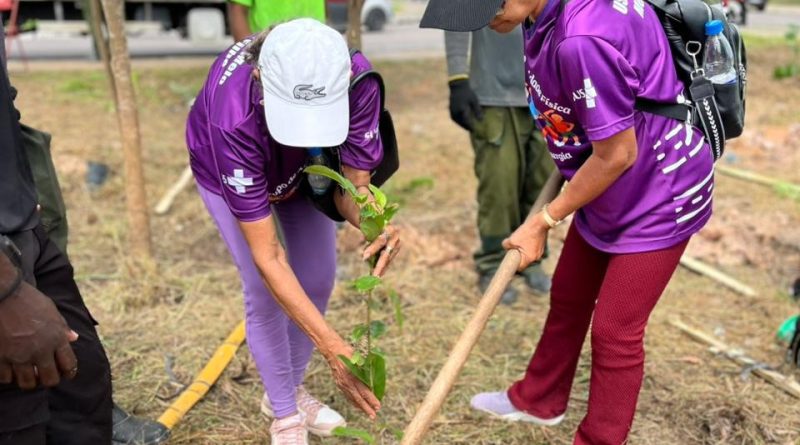 Parque do Mindu recebe plantio de árvores em Manaus