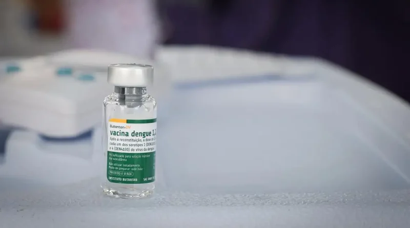 Idosos são foco de estudo da dengue