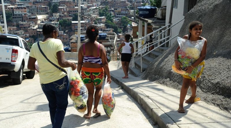 Agricultura familiar fortalece combate à fome