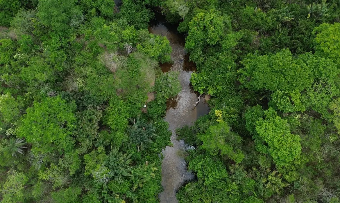 Área afetada pelo fogo no Brasil fica 31% abaixo da média histórica
