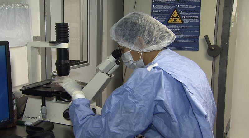 Dois pacientes ficam sem HIV detectável após transplante
