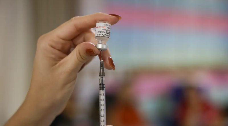 Estudo Pop-Brasil mostra impacto da vacina contra HPV