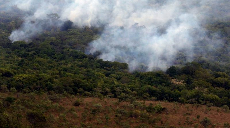 Austrália lidera focos intensos de incêndios