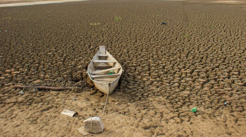 Brasil vai restaurar 163 mil km² de terras até 2030