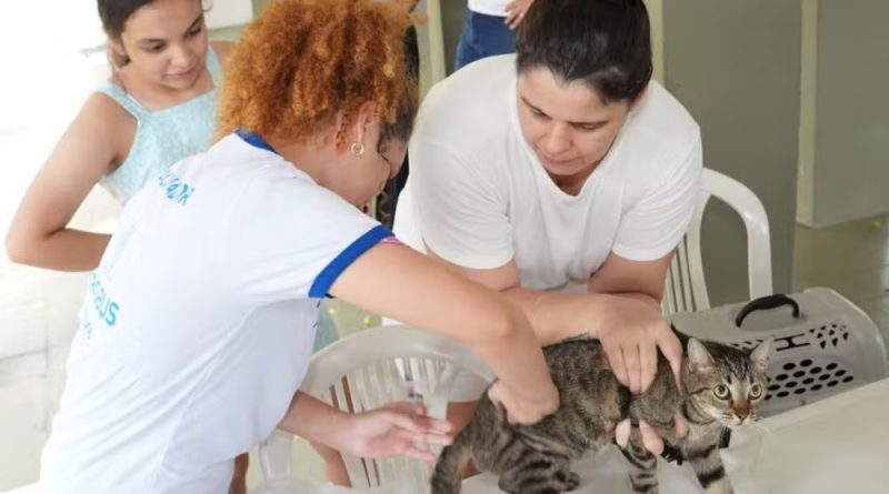 PSS da vacinação antirrábica oferece vagas para veterinários