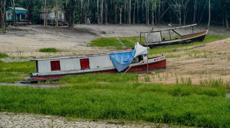 COP17 discute futuro das terras e combate à seca