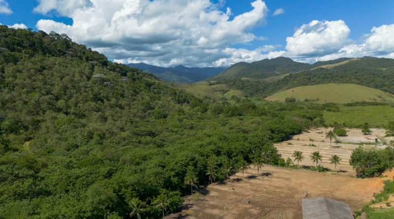 Agricultura avança 11 milhões de hectares na Mata Atlântica