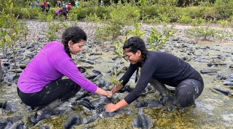 Fórum de Educação Ambiental recebe trabalhos até dia 30