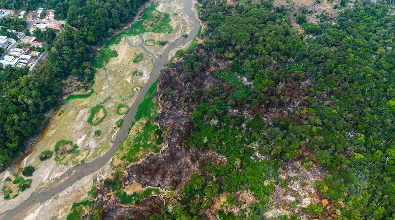 Moradores combatem incêndio no Parque das Tribos