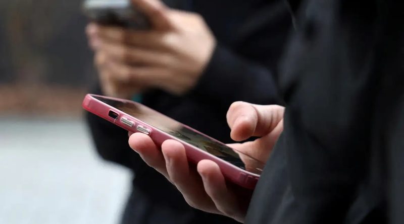 Jovem cria plataforma para orientar novos eleitores antes das eleições