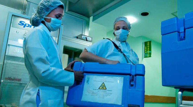 Mais de 32 mil brasileiros registram intenção de doar órgãos