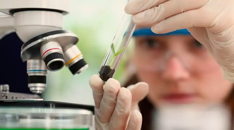 Prêmio para mulheres cientistas oferece até R$ 13 mil
