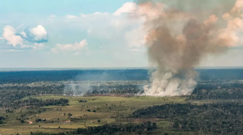13/10/2026 - Acre - Fogo, queimadas, incêndios florestais e fumaça ameaçam a floresta amazônica no Acre. Entre Cruzeiro do Sul e Marechal Thaumaturgo, a paisagem revela a pressão sobre a vegetação nativa e a biodiversidade. Foto: Rafa Neddermeyer/Agência Brasil