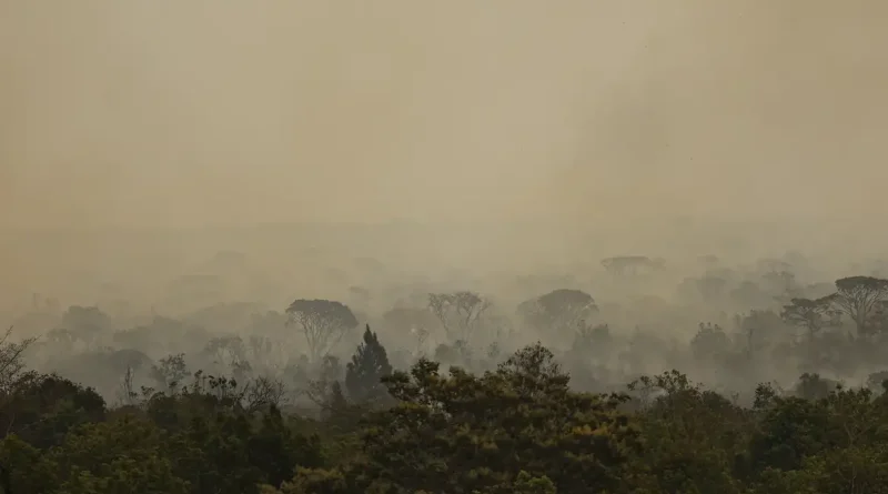 Brasília (DF), 16/09/2024 - Grandes focos de incêndio atingem áreas do Parque Nacional de Brasília. Foto: Marcelo Camargo/Agência Brasil