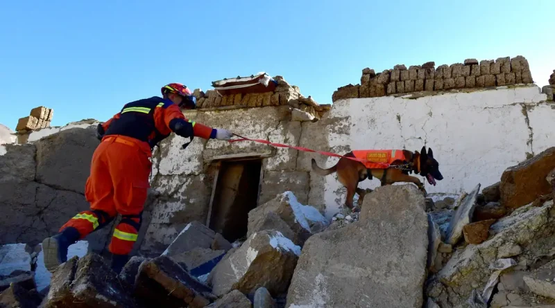 Bombeiro realiza operação de busca e resgate com cão farejador após terremoto no Tibete 08/01/2025 cnsphoto via REUTERS