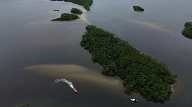Paranaguá (PR), 18/05/2026 – Manguezal na Baía de Paranaguá, área da Grande Reserva da Mata Atlêntica, onde ocorre monitoramento por pesquisadores do Programa de Recuperação da Biodiversidade Marinha (Rebimar). Foto: Fernando Frazão/Agência Brasil